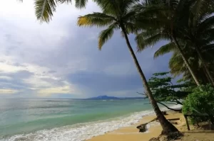 Objek Wisata Terbaik untuk Dikunjungi di Jayapura