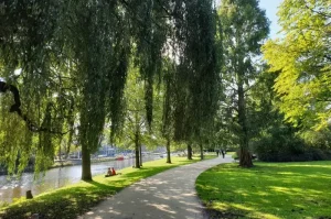 Taman Terindah di Amsterdam dengan Koleksi Tanaman Eksotis yang Menawan