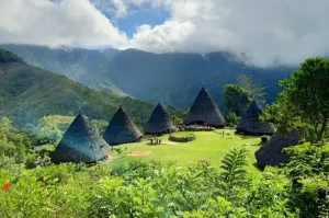 Desa Wae Rebo Manggarai Pesona Alam dan Budaya Unik di Flores