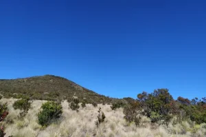 Fakta Menarik Tentang Gunung Lawu yang Tidak Boleh Anda Lewatkan